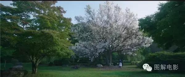 悬疑惊悚韩国的电影,暗黑悬疑韩剧推荐