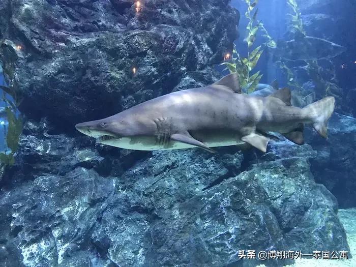 泰国旅游攻略曼谷景点地图,泰国曼谷自由行旅游攻略最新