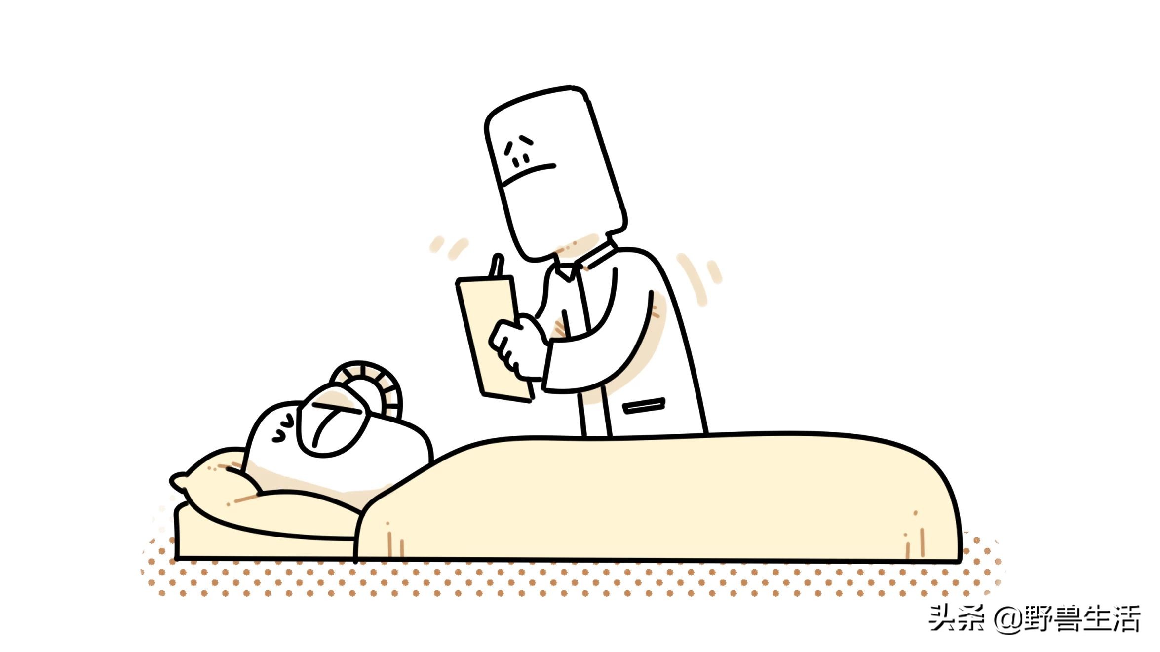 日本的泡面不够吃咋办,日本有碳水泡面