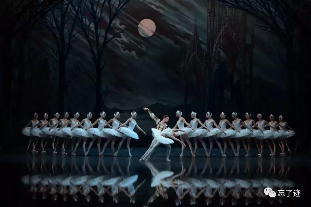 坎普应该怎么玩,坎普各个系列介绍