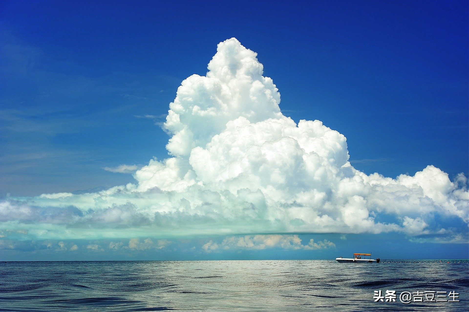 关于征信，很多人不知道的秘密，赶紧来看看