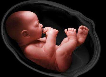 包裹胎儿的水为什么叫羊水,为什么胎水叫羊水