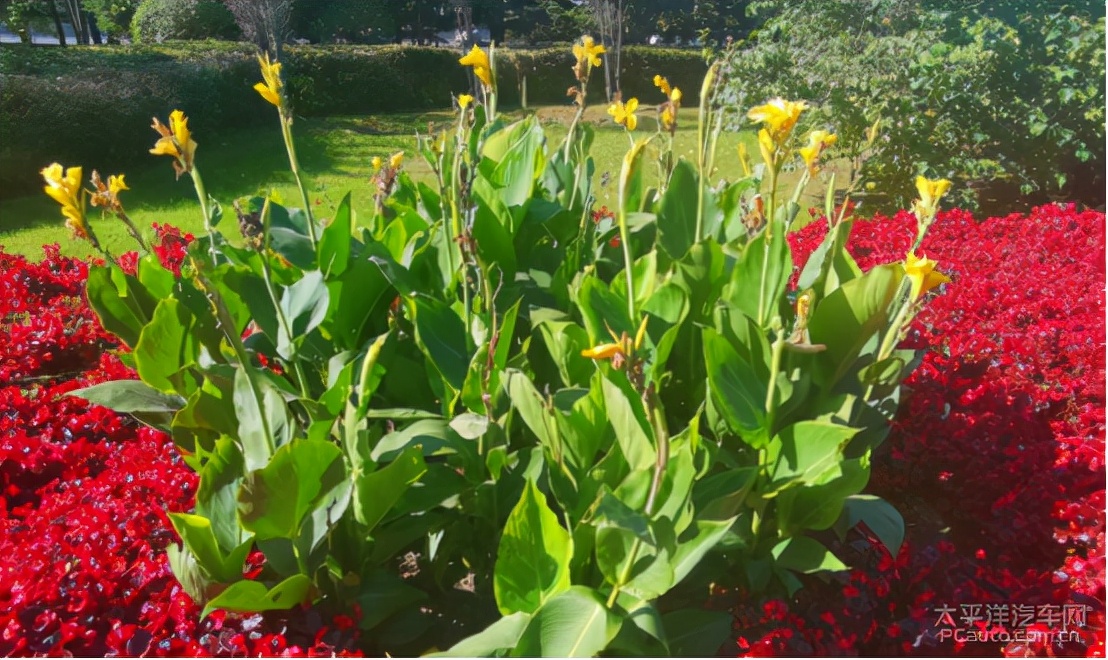 忽如一夜秋风来的下一句,,忽如一夜春风来千树万树梨花开