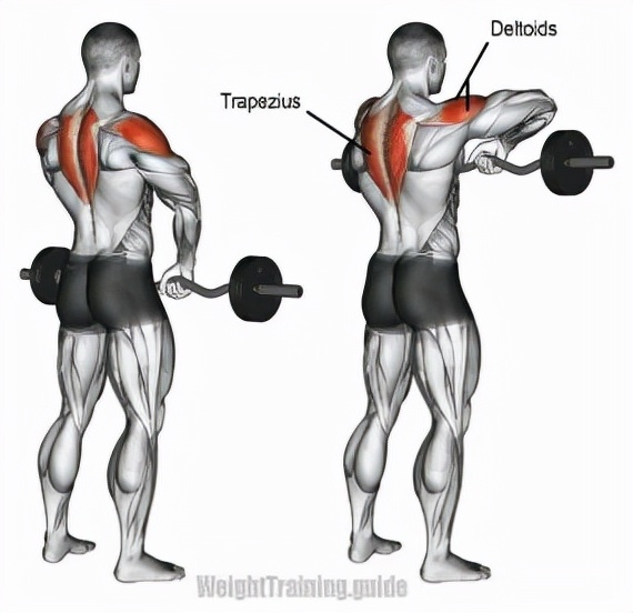 颈部的健身训练,wildfieldhealth牌子如何