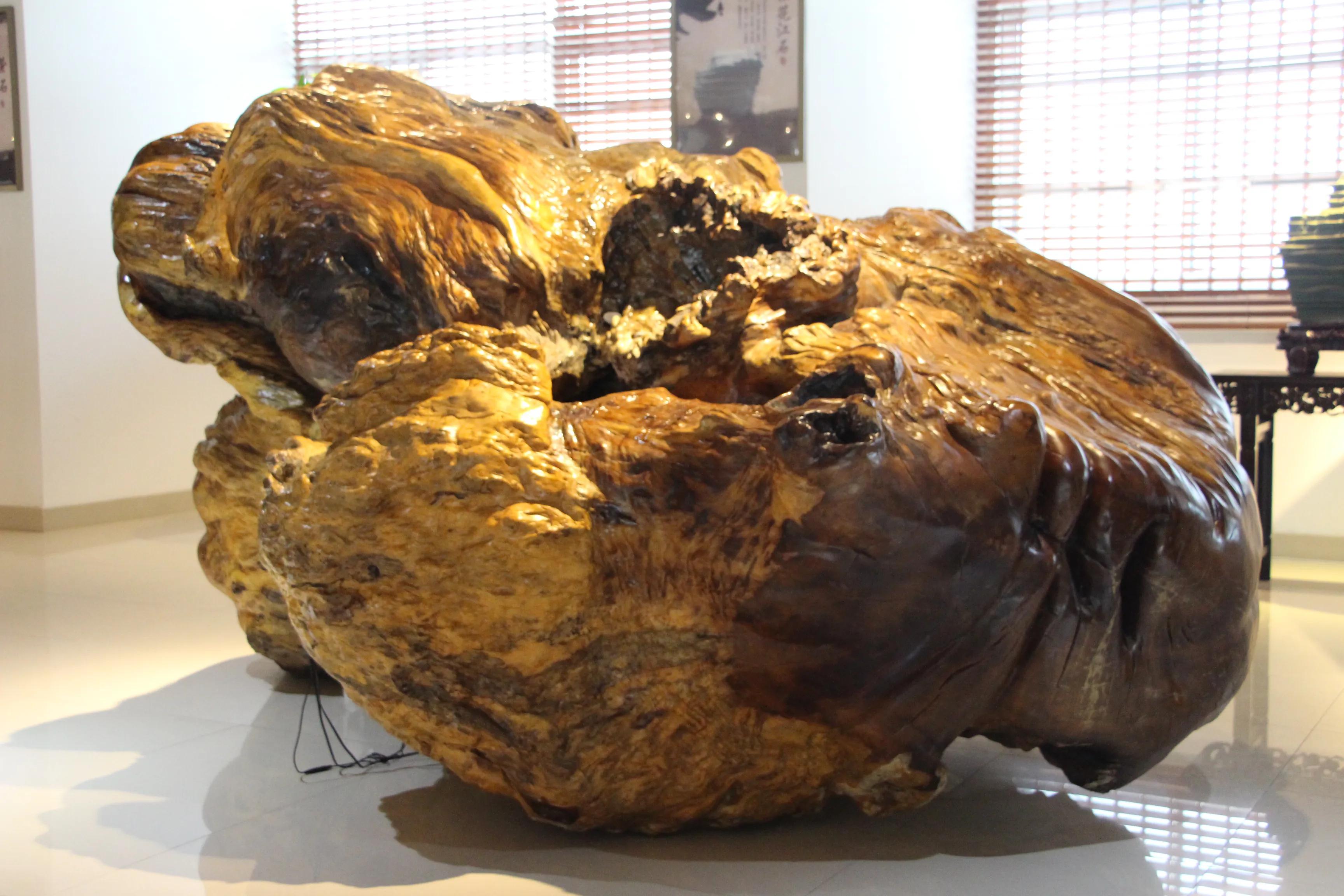 享受阳光-醉爱收藏文化的著名企业家许末兴