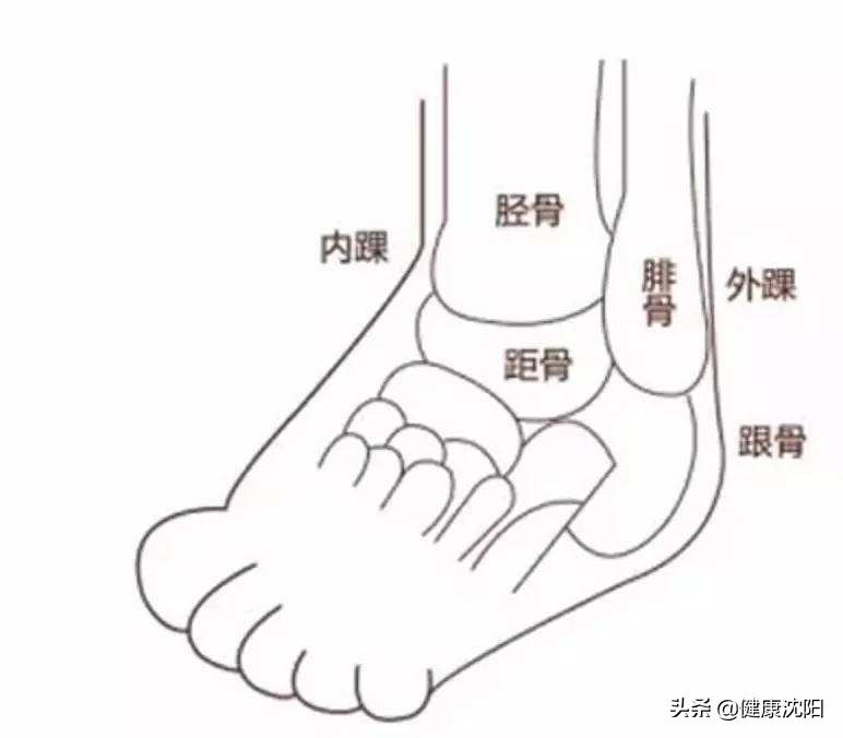 内踝骨折取钢钉后多久恢复,内踝骨折取钢钉多久能正常走路