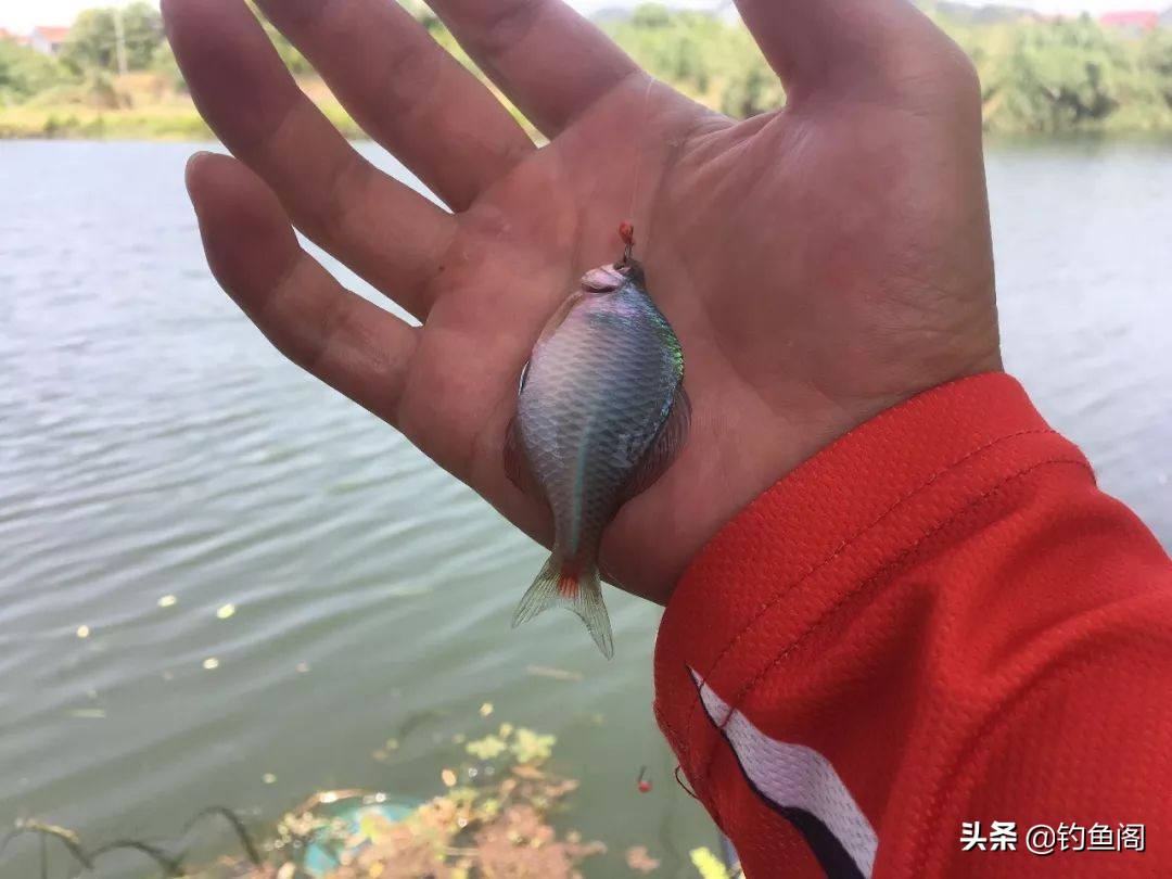 选择浮漂吃铅少是否灵敏,选择浮漂的诀窍