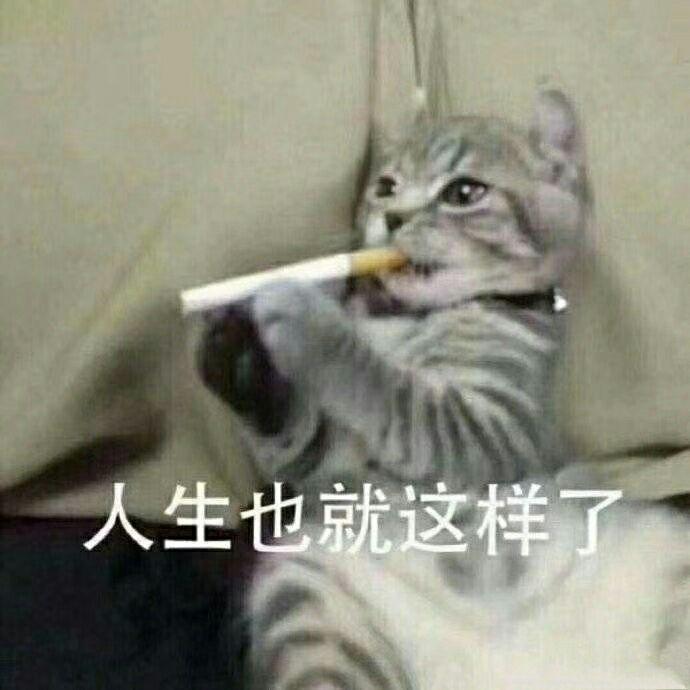 在直播间买的投影仪发现不值,直播间买的投影仪靠谱吗