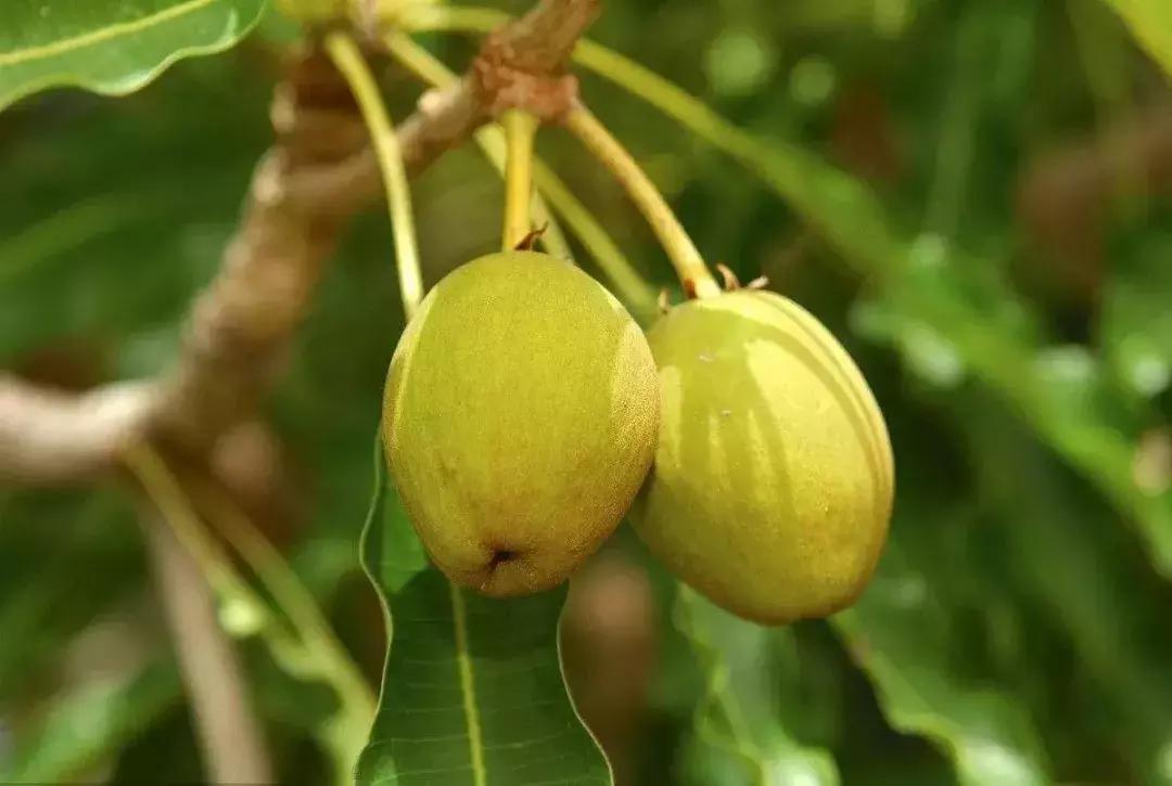 冬天这样护肤，睡觉都是“滑”进去的