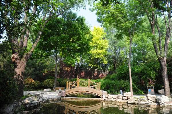 郑州五一年轻人攻略,郑州人五一出游地点推荐