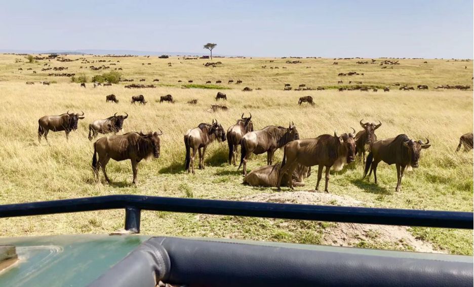 放弃50万年薪的工作,因为理想辞掉工作去环游世界