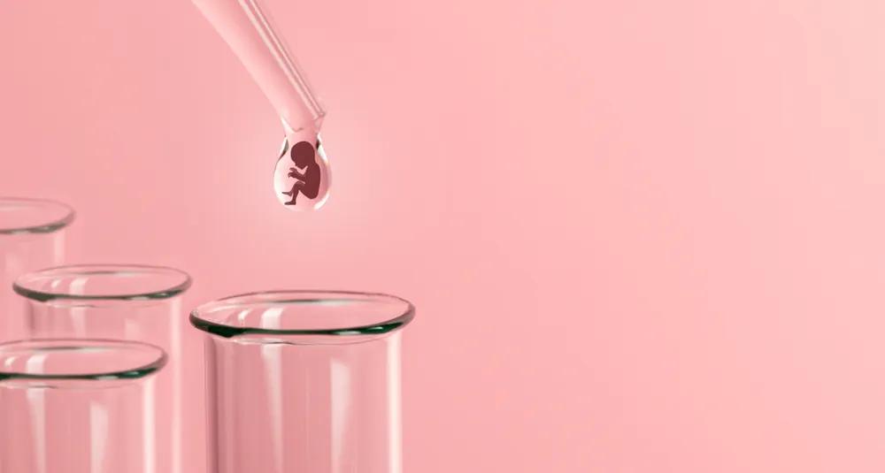 当取卵针戳进我的卵巢，把卵泡一颗颗吸出来时，丈夫在隔壁取精室看片取精|成为母亲