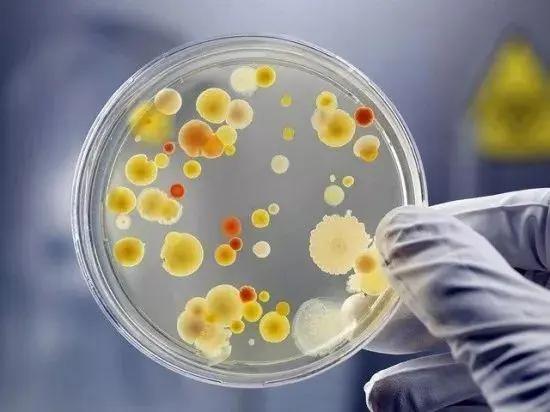 冰箱除臭保鲜神器,冰箱抗菌除臭保鲜棒