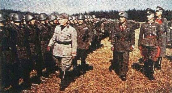 意大利井底蛙响尾蛇,二战意大利作战详细经过