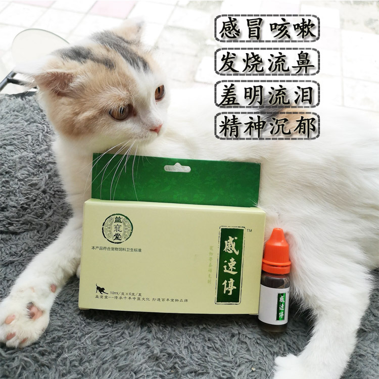 幼猫呕吐是什么原因,幼猫为什么喝羊奶出现呕吐