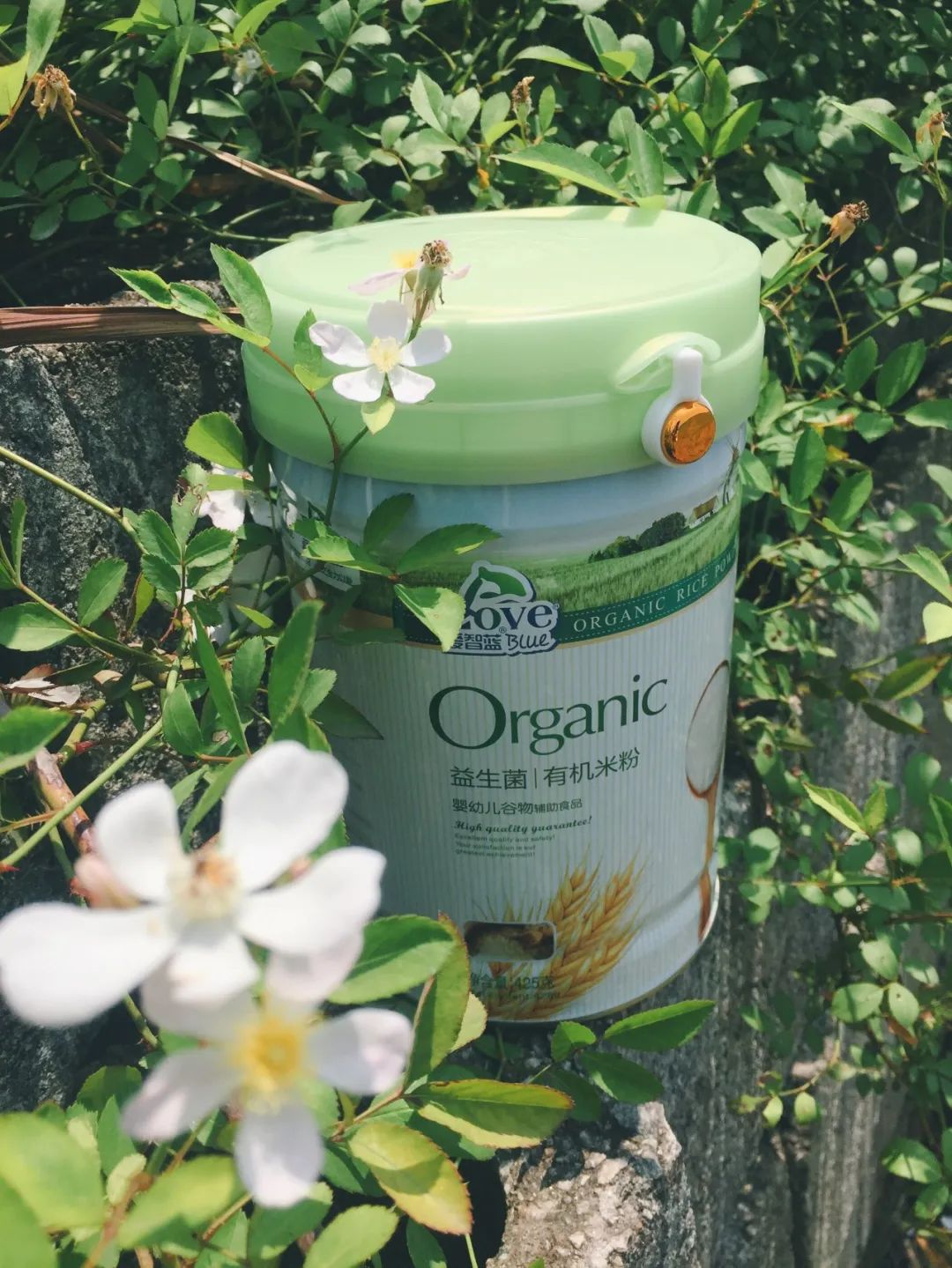 宝妈专访！为什么信奉国外品牌的她，开始选择爱智蓝？