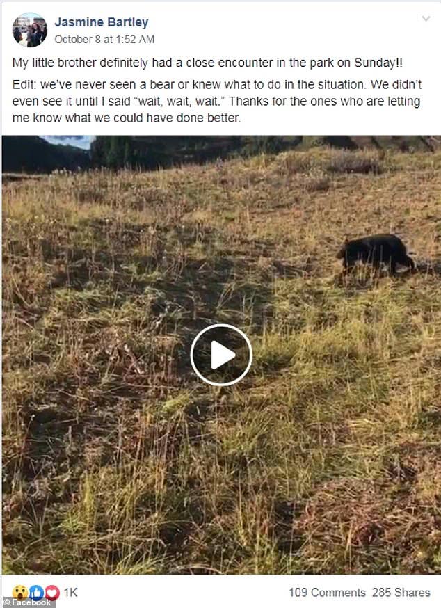 国外一男子爬山中遇到黑熊,美国人爬山遇到黑熊