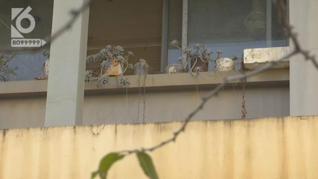 “一个火一样的东西落下来”，张女士的“*萨特帕**”被炸通了