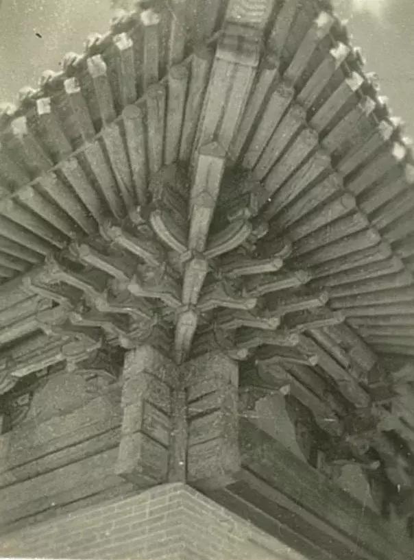 你可能没见过的姓氏,你可能没见过的日语