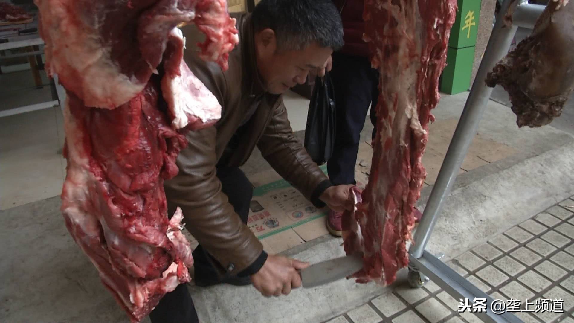 兵哥哥家禽养殖,兵哥哥教你养猪