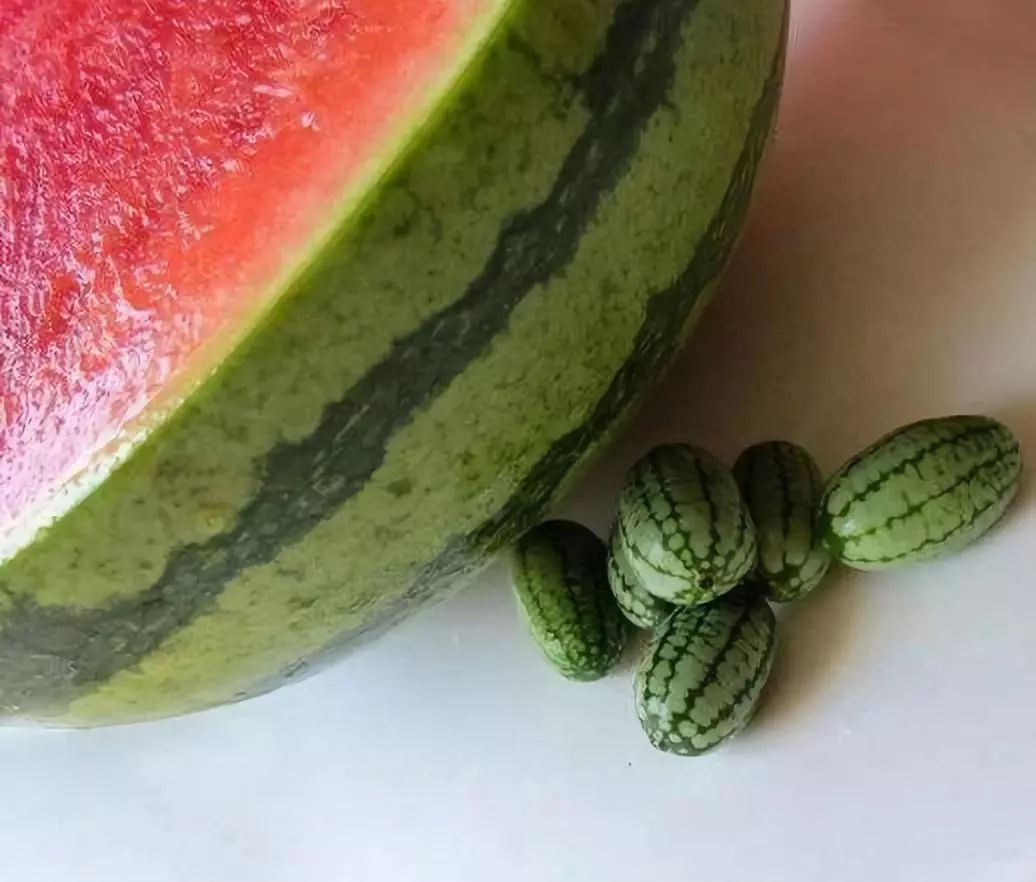 种植业一亩利润20万元,种植赚钱方法教程简单易学