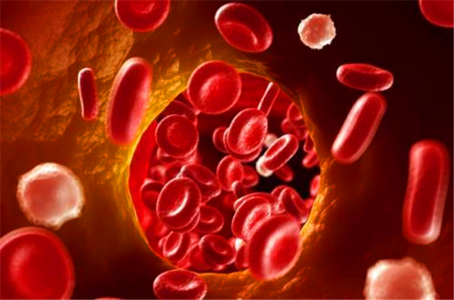 非洲一只黑猩猩,是怎么把艾滋病传给非洲黑人,再传到全世界的?