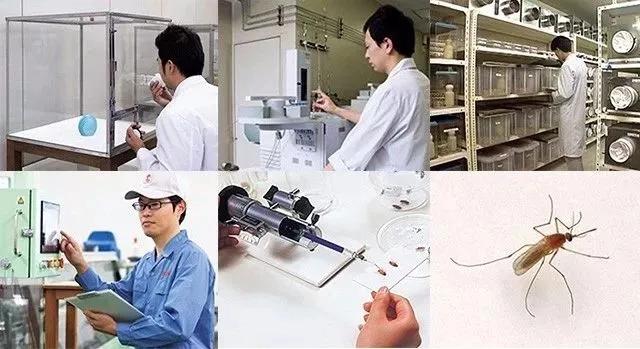 日本1亿家庭疯抢隐形蚊帐，超长待机100天，蚊子不进家门