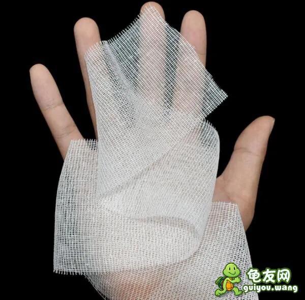 可以干养的龟有什么,龟如何防病