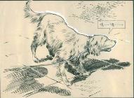 民间故事结发夫妻不可弃,民间故事夫妻感情故事