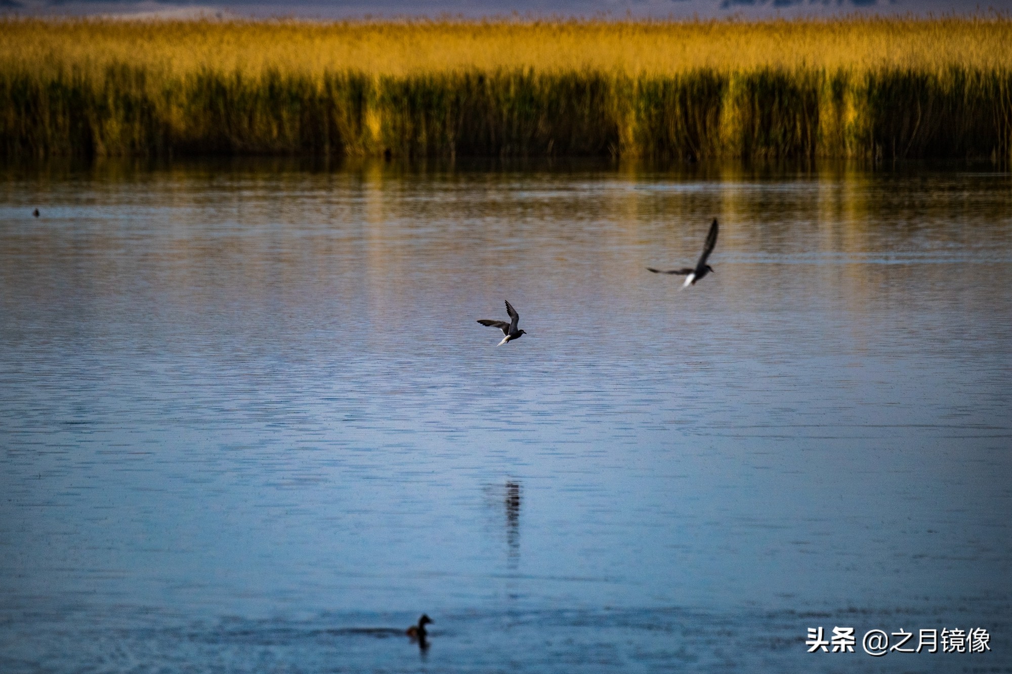 大柴达木湖和大柴旦翡翠湖,大柴旦翡翠湖在柴达木盆地