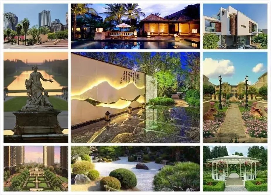 笑谈种树的艺术——看园林专业的魅力