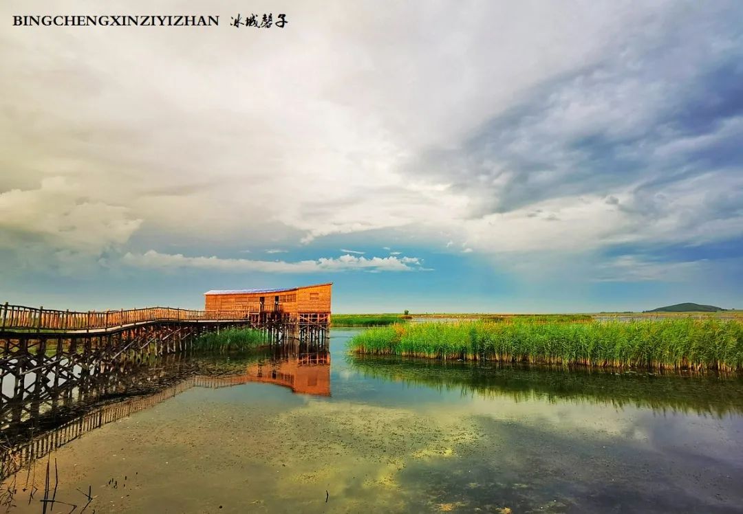 再返富锦，为着那份飘着稻花香的“湿”意约定