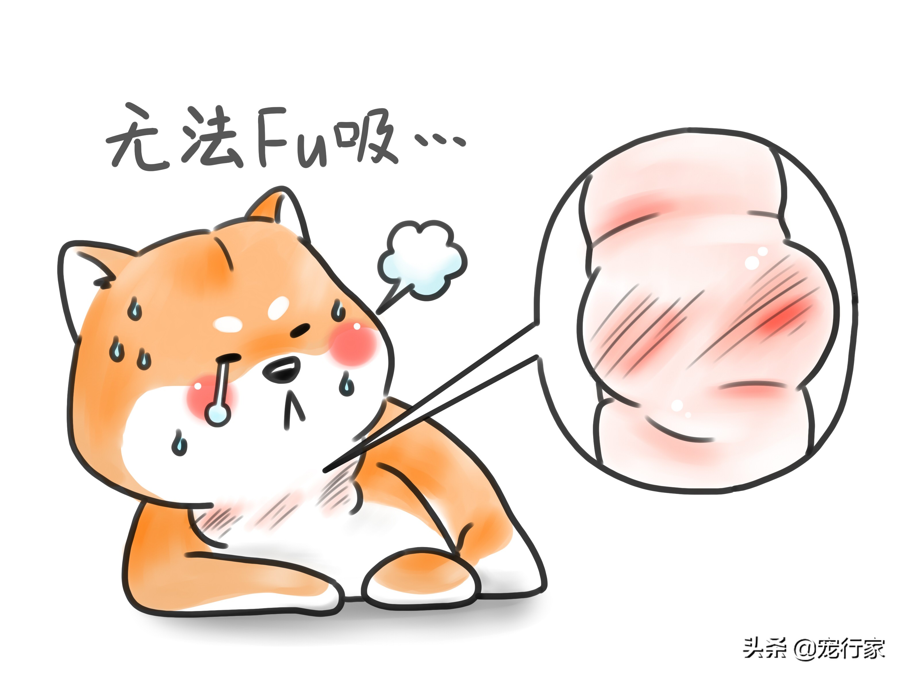 狗被蜜蜂蜇伤怎么办,狗狗被蜜蜂蛰了肿了不精神怎么办