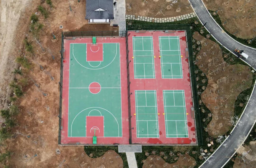 龟山板块,龟山板块发展