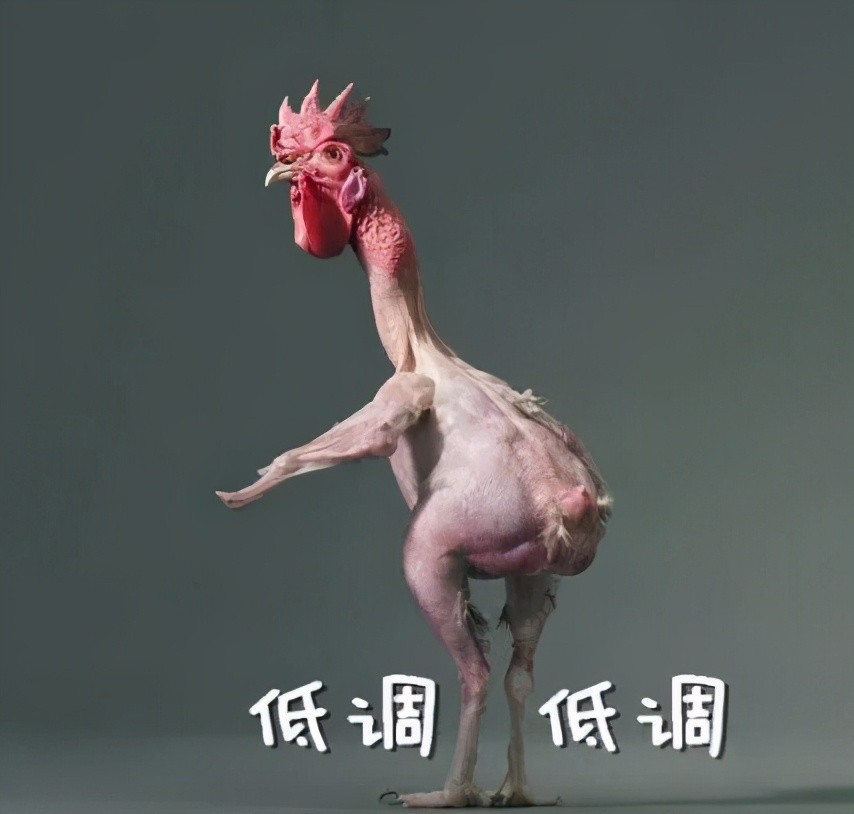 法国人与熊猫的关系,法国人和英国人有亲缘关系吗