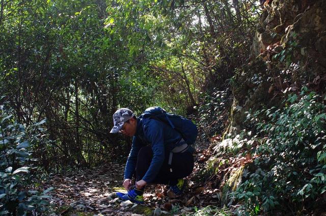 拓乐车顶行李框测评,车顶自行车架拓乐