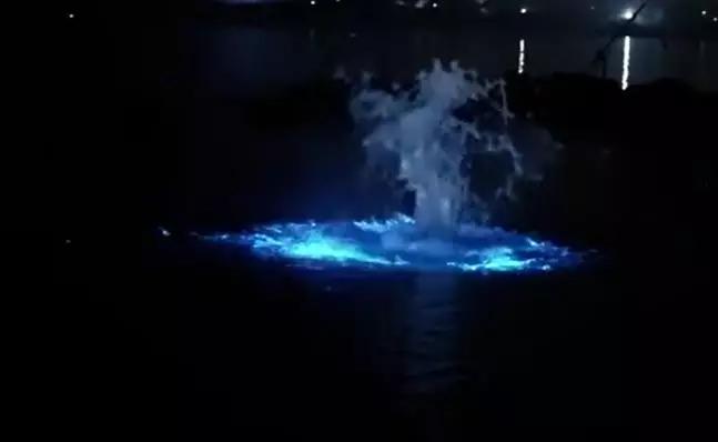 大学毕业异地恋工作怎么办,大学毕业异地恋分手概率