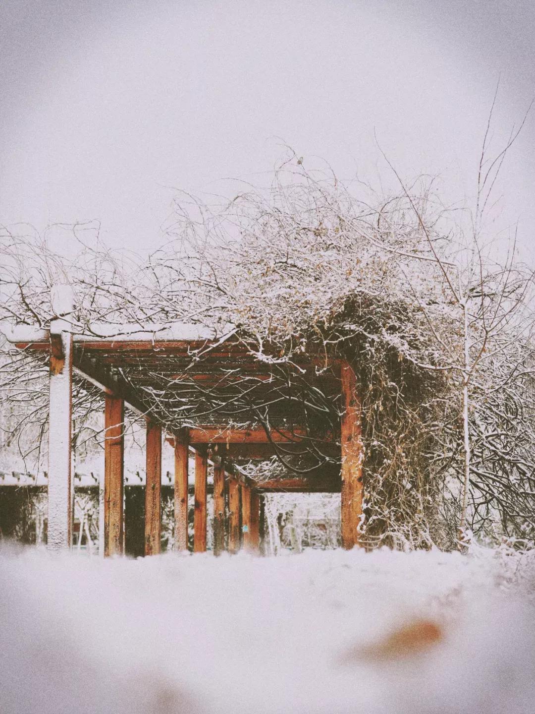 天津市普通高等院校,天津师范高等专科学校