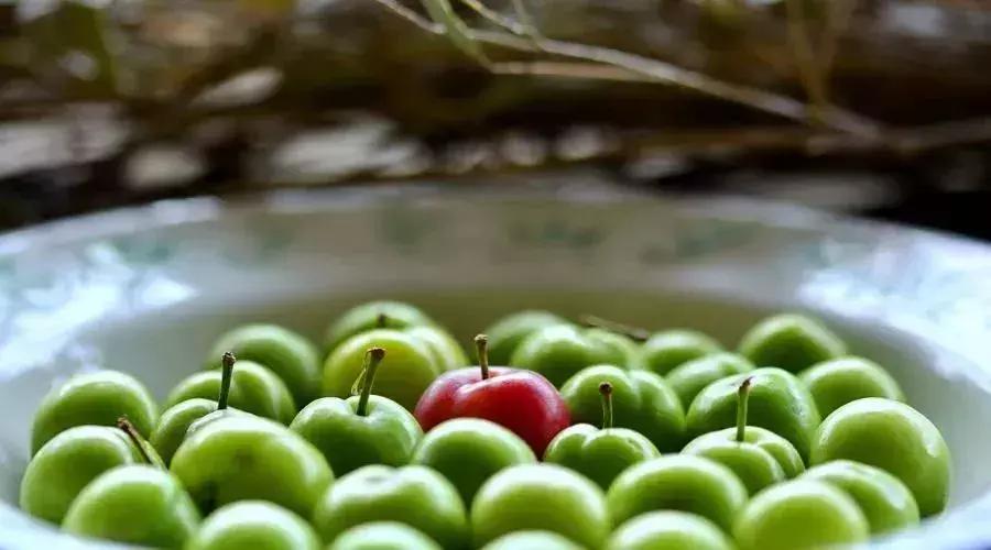 钟丽缇青年时候,钟丽缇保养子宫