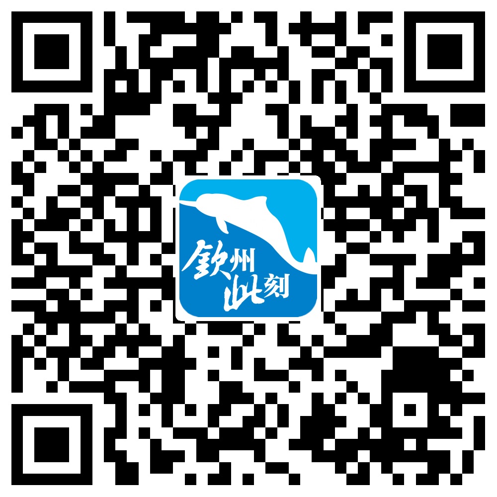 九江海关查获10吨进口固体废物,钦州港海关查获固体废物50.4吨图