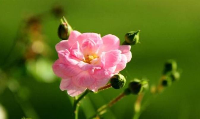 如果你爱上有家庭的男人就放手吧,如果你爱上一个人该怎么做呢