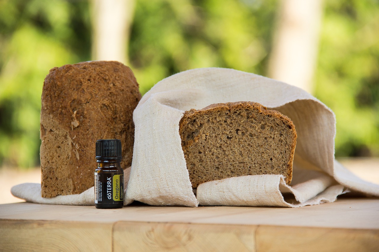 英语每日一词bear,每日一词英语Alex