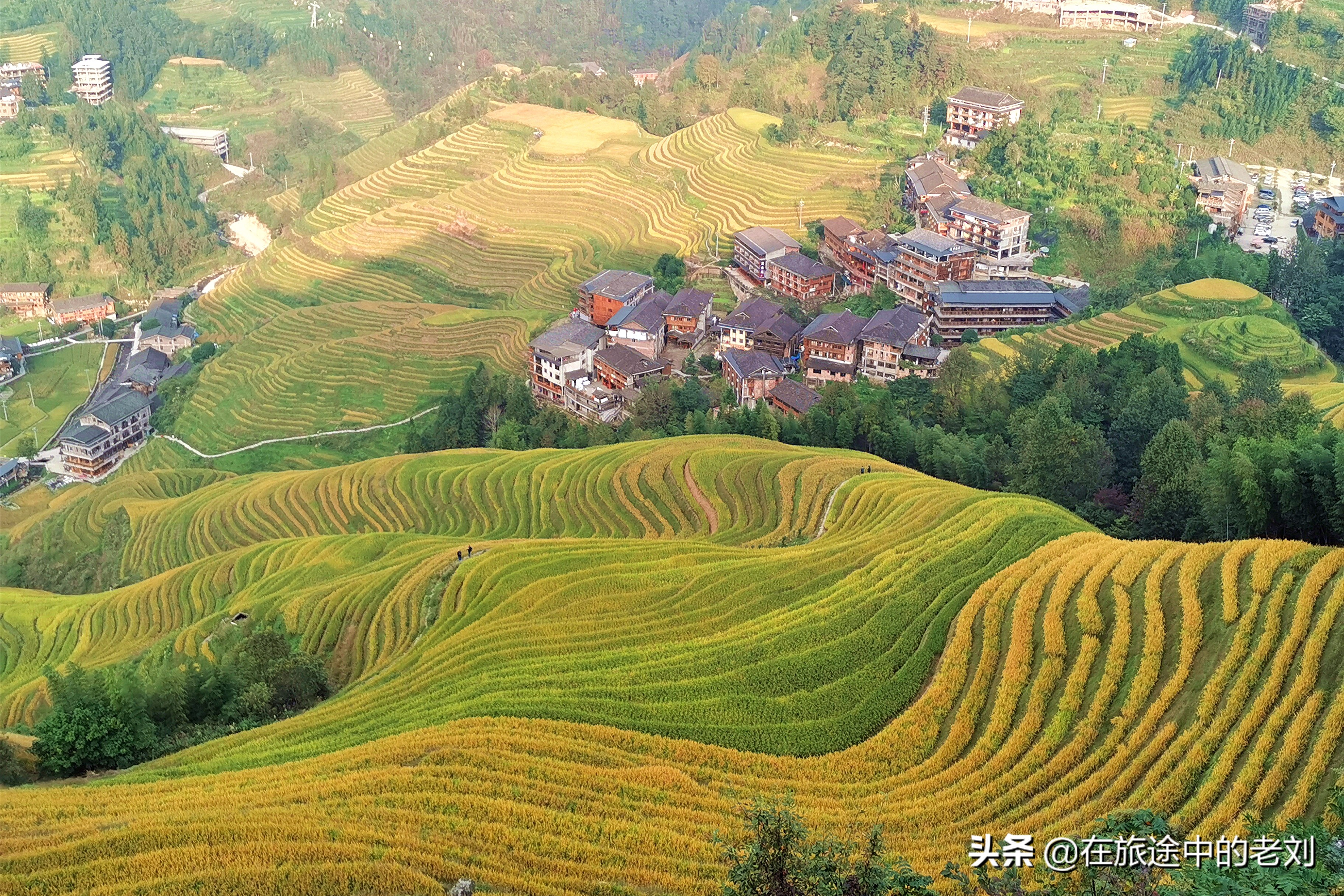 远赴龙脊大寨梯田，追逐今年最后的金黄——桂林七天游1