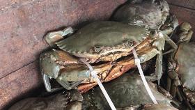 广州吃海鲜最便宜的地方2018年,广州的海鲜哪里又新鲜又便宜