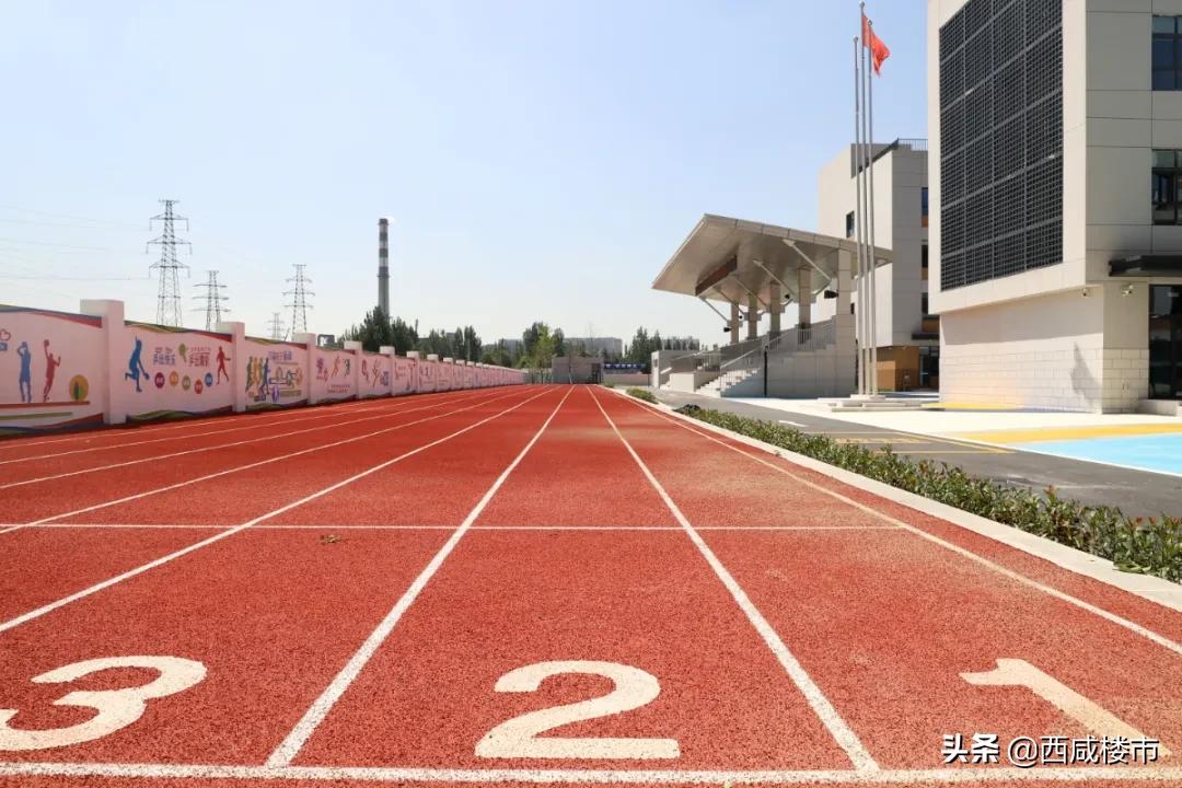 新增的231个学位是什么,5年内新增438万公办学位