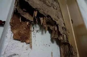 气象局今天发布暴雨预警了吗,气象局发布暴雨蓝色预警