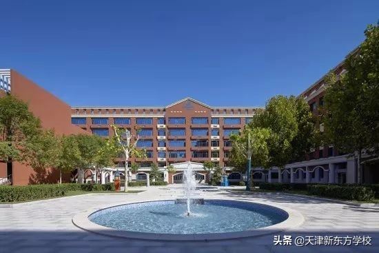 花几百万买学区房不如读国际学校,划片入学不满意不去可以吗