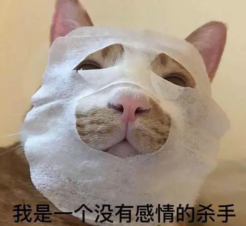 只有仙女才看得见的风景,只有仙女才会看到的视频