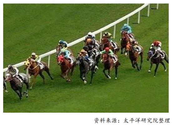 体育行业报告,体育赛马项目介绍