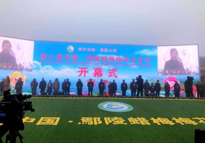 第十届鄢陵蜡梅梅花文化节,鄢陵蜡梅展